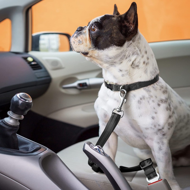 Inklapbare hondenautogordelset - Snap Fastener Set recensie en prijs